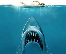Image result for Jaws 4K Wallpaper