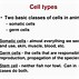 Image result for Stem Cell Gametes