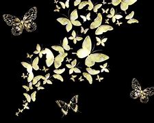 Image result for Black and Gold Butterflies