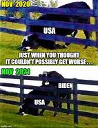 Image result for Political Meme Cow
