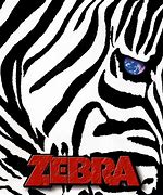 Image result for Zebra Cover