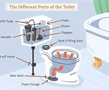 Image result for How Toilets Work Diagram