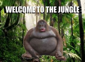 Image result for Welcome to the Jungle Meme