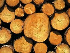 Image result for Wood Log Stack