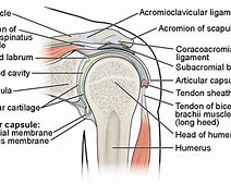 Image result for Horizontal Sheath Attachment