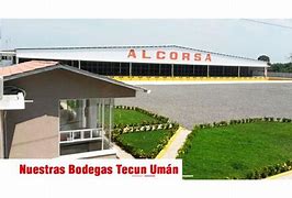 Image result for alcorsa