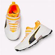 Image result for Puma Cricket Spikes