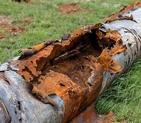 Image result for Gas Plant Pipe Corrosion