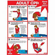 Image result for Printable CPR for Adults Chart
