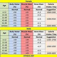 Image result for Body Weight with Muscle Scale