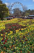 Image result for floriade canberra