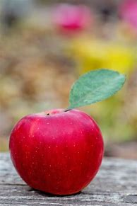 Image result for Red Apple Black Background