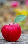 Image result for Red Apple