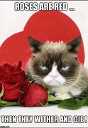 Image result for Grumpy Cat Memes Roses Are Red