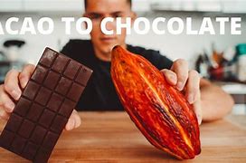 Image result for How to Make Chocolate From Cocoa Pod