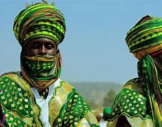 Image result for Ancestry of All Nigerians