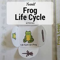 Image result for Frog Life Cycle Accordion Book