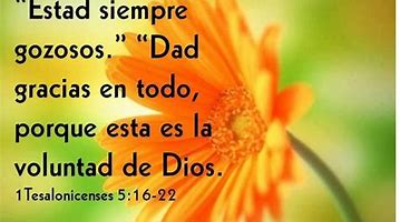 Image result for Versiculos De Agradecimiento a Dios