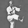 Image result for Colored Karate Belts