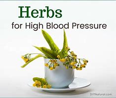 Image result for Herbs for Blood Pressure