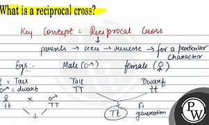 Image result for Reciprocal Cross