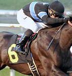 Image result for Horse Racing Nation Derby Contenders