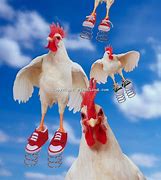 Image result for Funny Spring Chicken