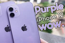 Image result for iPhone 12 vs 12 Mini Purple