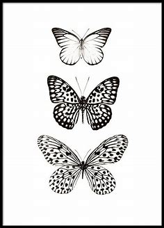 Zwart-wit poster met vlinders | Stijlvolle posters online - Desenio