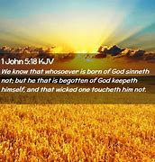 Image result for 1 John 5:18