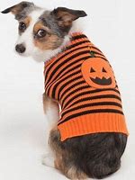 Image result for Halloween Sweaters for Dogs