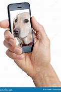 Image result for Dog Hand Phone