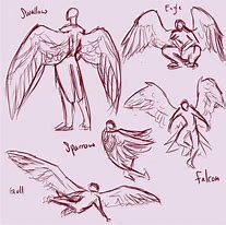 Image result for Pose with Wings Drawing Reference
