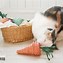 Image result for organic cat toy