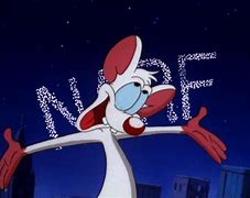 Image result for Pinky and the Brain Sayings