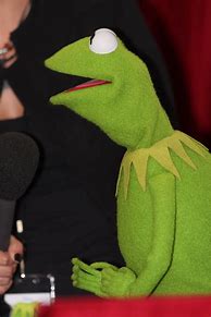 Image result for Stoned Kermit