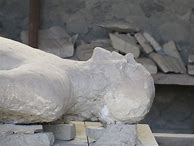 Image result for Pompeii Victims