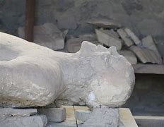 Image result for Pompeii Exposed