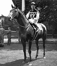 Image result for Seabiscuit Racing