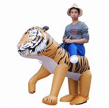 Image result for Cool Halloween Costumes Inflatable