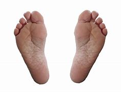 Image result for Decimal Foot to Inches Conversion Chart