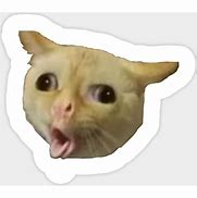 Image result for Gato Meme Sticker