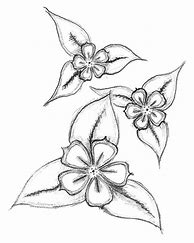 Image result for Different Flowers with Vines Drawing