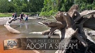 Image result for Novy Family Four Mile Creek