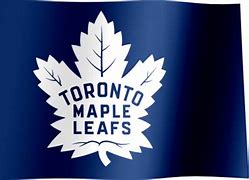 Image result for Toronto Maple Leafs Logo Flag