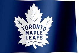 Image result for Maple Flag Exercise