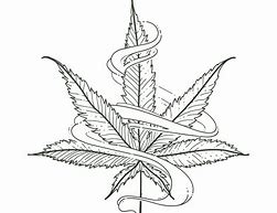 Image result for Marijuana