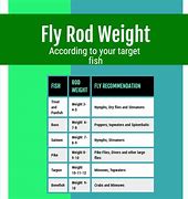 Image result for Fishing Rod Tip Size Chart