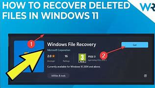 Image result for How to Recover Deleted Files Windows 11