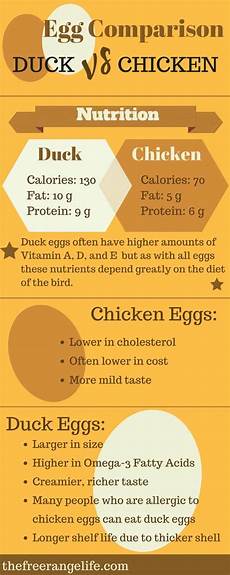 Chicken Eggs Vs Duck Eggs An Infographic